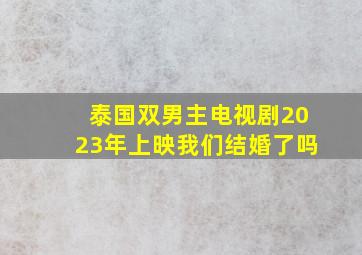 泰国双男主电视剧2023年上映我们结婚了吗