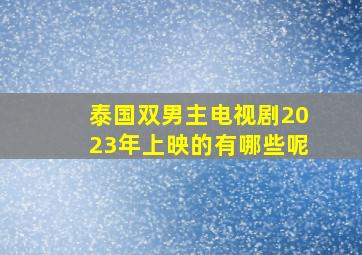 泰国双男主电视剧2023年上映的有哪些呢