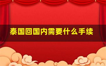 泰国回国内需要什么手续