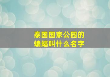 泰国国家公园的蝙蝠叫什么名字