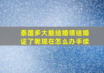 泰国多大能结婚领结婚证了呢现在怎么办手续