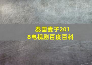 泰国妻子2018电视剧百度百科