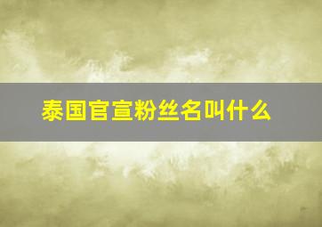 泰国官宣粉丝名叫什么