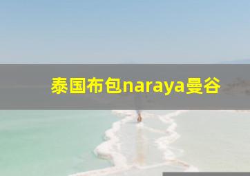 泰国布包naraya曼谷