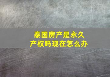 泰国房产是永久产权吗现在怎么办