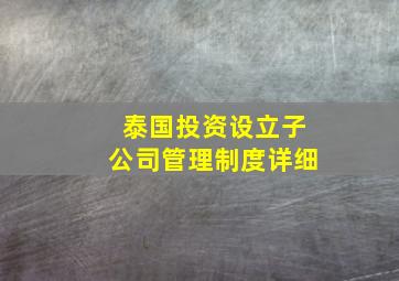 泰国投资设立子公司管理制度详细