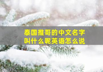 泰国推哥的中文名字叫什么呢英语怎么说