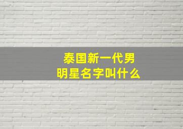 泰国新一代男明星名字叫什么