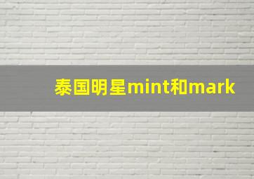 泰国明星mint和mark