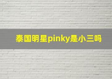 泰国明星pinky是小三吗