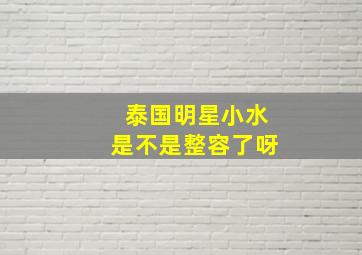 泰国明星小水是不是整容了呀