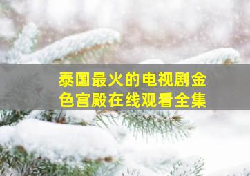 泰国最火的电视剧金色宫殿在线观看全集