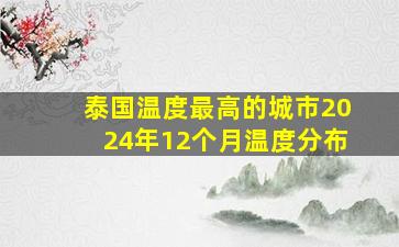 泰国温度最高的城市2024年12个月温度分布