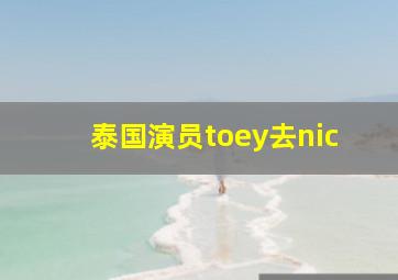 泰国演员toey去nic