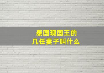 泰国现国王的几任妻子叫什么