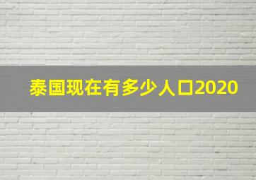 泰国现在有多少人口2020