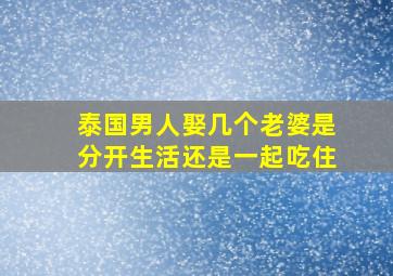 泰国男人娶几个老婆是分开生活还是一起吃住