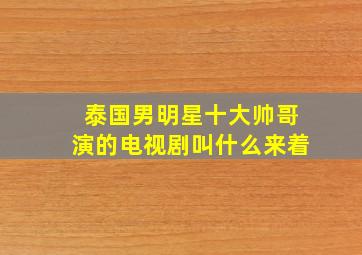 泰国男明星十大帅哥演的电视剧叫什么来着