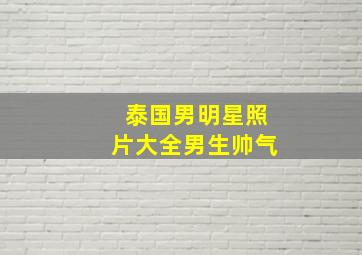 泰国男明星照片大全男生帅气