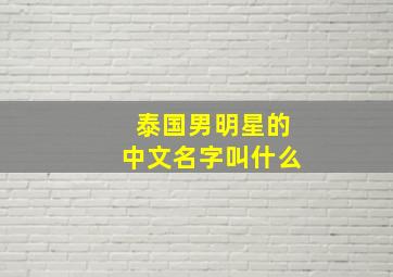 泰国男明星的中文名字叫什么