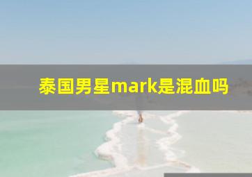 泰国男星mark是混血吗