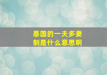 泰国的一夫多妻制是什么意思啊