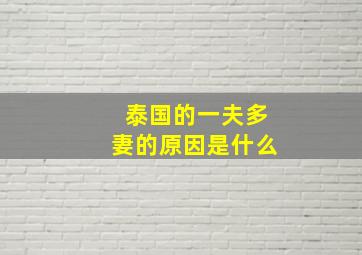 泰国的一夫多妻的原因是什么