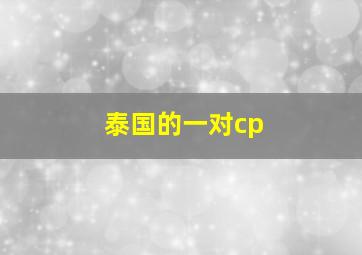 泰国的一对cp