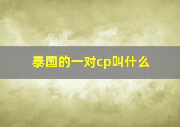 泰国的一对cp叫什么