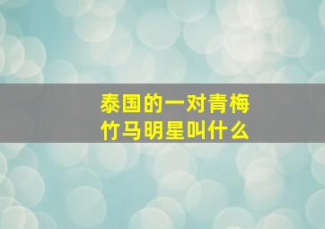 泰国的一对青梅竹马明星叫什么