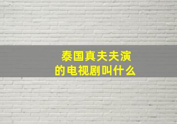 泰国真夫夫演的电视剧叫什么