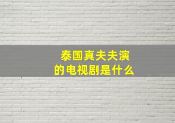 泰国真夫夫演的电视剧是什么