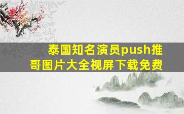 泰国知名演员push推哥图片大全视屏下载免费