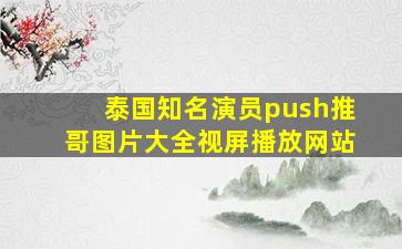 泰国知名演员push推哥图片大全视屏播放网站