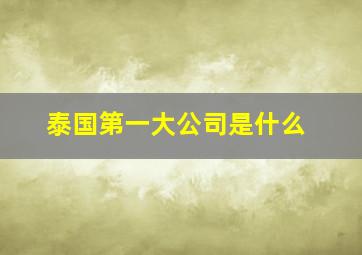 泰国第一大公司是什么