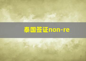 泰国签证non-re