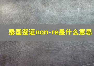 泰国签证non-re是什么意思