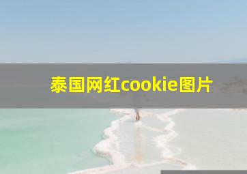 泰国网红cookie图片