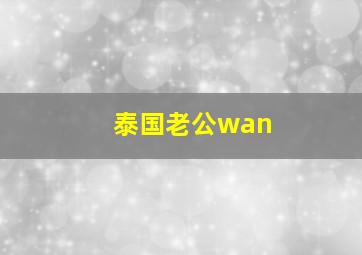 泰国老公wan