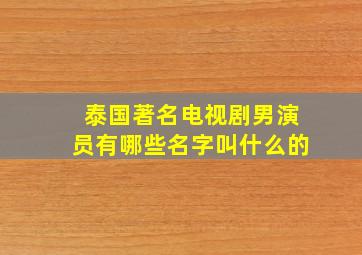 泰国著名电视剧男演员有哪些名字叫什么的