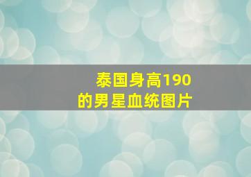 泰国身高190的男星血统图片