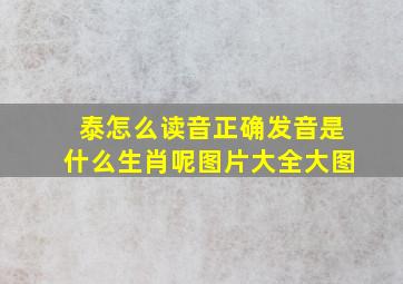 泰怎么读音正确发音是什么生肖呢图片大全大图