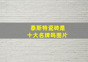 泰斯特瓷砖是十大名牌吗图片