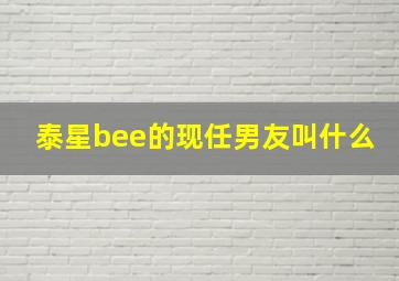 泰星bee的现任男友叫什么