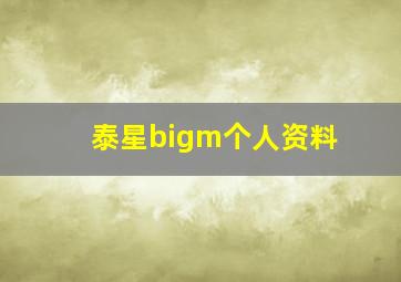 泰星bigm个人资料