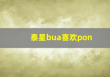 泰星bua喜欢pon