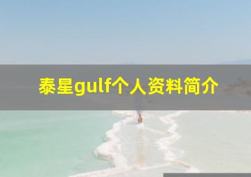 泰星gulf个人资料简介