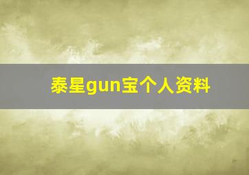 泰星gun宝个人资料