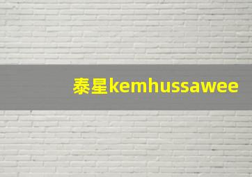 泰星kemhussawee