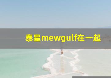 泰星mewgulf在一起